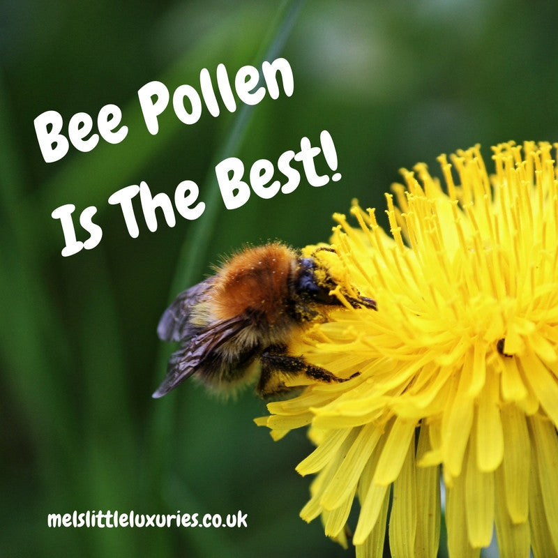 Bee Pollen Is The Best!